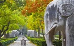 ElephantStatues1920x120012-7-2011 5_28_03 PM Bing Desktop